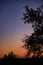 Young crescent moon on a clear sky at the end of the day in the summer