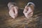 Young criminal in handcuffs, close up of hands - Image