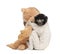 Young Crowned Sifaka with his teddy bear - Propit