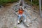 Young curly girl, glasses, forest, tree stump, vacation, summer day