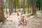 Young cute boy in helmet rides a bicycle in the park. Boy goes on the road. Sport