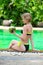 Young cute model girl with coconut near exotic swimming pool during her vacation trip to tropical island