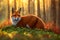 A young cute red fox shot in a lush summer forest, AI generated