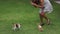 Young cute woman actively plays with two kittens on grass yard on summer day
