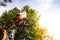 Young cyclist on the edge of a rock ready to jump