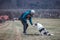 Young cynologist, a dog trainer trains a four-legged pet Australian Shepherd in basic commands using treats. Love between dog and