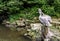 Young Dalmatian pelican Pelecanus crispus sitting on a stump near pond