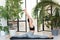 Young darkhair woman practicing yoga in the morning at her home near plants. The woman is engaged in self-determination