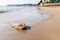 Young dead stingray in shallow sea water