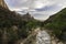 A young deer crosses the Virgin River in Zion National Park