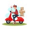 Young delivery man sitting on a scooter and see the phone. Fast delivery service concept. Isolated cartoon vector