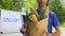 Young deliveryman showing grocery bag, store service, online order shipment