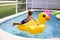Young diverse little boy jumping onto a large inflatable pool toy in a backyard swimming pool on a warm summer day.