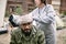 Young doctor putting bandage around wounded head of refugee man