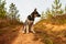 Young Dog German Shepherd in an autumn day. Puppy in yellow landscape