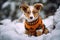Young dog wearing knitted orange sweater in cold snow landscape