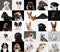 Young dogs, pets collage. Cute doggies or pets looking happy  on multicolored background.