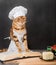 A young domestic cat in an apron reads a recipe book