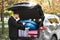 Young driver loading suitcases into car trunk