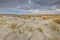 Young Dune landscape formation