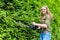 Young dutch woman holding hedge trimmer at conifers