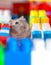 Young dzungarian hamster in the colorful toy cubs