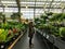 A young elegant woman browsing an aisle of fresh plants of a local greenhouse l