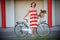 Young elegantly dressed woman with bicycle and a