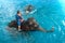 Young Elephant and his mother happiness swimming show for tourist.