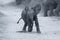 Young elephant play on a road while family feed artistic convers