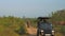 Young elephant walks along ground road behind vehicle