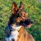 Young energetic half-breed dog with handmade collar walks in the meadow.