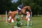 Young equestrian girl jumps obstacle with bay horse