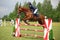 Young equestrian girl jumps obstacle with bay horse