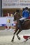 Young equestrian rider running on bay horse at show jumping competition