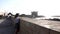 Young european happy woman and seagull near the seaside with seagulls flying on the background in port of Essaouira