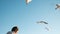 Young European man is feeding gulls with bread on the sea at sunset against a clear blue sky. Beautiful guy throws food