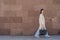 Young executive woman walking with coat and handbag