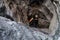 Young explorer in black sportswear in a cave with climbing equipment ready for action