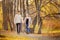 Young family couple walks with dwarf dog terrier in autumn forest, in hands of girl yellow maple leaves. Concept