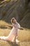 A young family in nature in identical dresses. beautiful young mom holds her daughter in her arms. Field and hills background