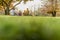 Young family outdoors in the garden in fall