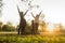 Young family rejoicing in an autumn sunrise