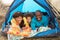 Young Family Relaxing Inside Tent On Holiday