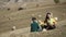 A young family sits on a field among a flock of sheep