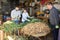 Young family sorting harvested green onions