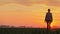 Young farmer against the pink sky and the setting sun goes ahead across the field. Success in agribusiness concept
