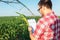 Young farmer or agronomist measuring green corn plant stem with a ruler, writing data into a questionnaire