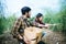 Young farmer couple harvest fresh asparagus  together put into the basket