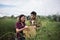 Young farmer couple harvest fresh asparagus  together put into the basket